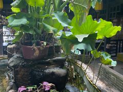 -园林美食城·本土农家菜(杨和镇店)