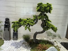 -兴芮温泉度假区