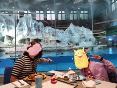 -帝企鹅自助餐厅•儿童岛•真企鹅(长隆企鹅酒店)