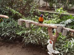 -南宫五洲植物乐园