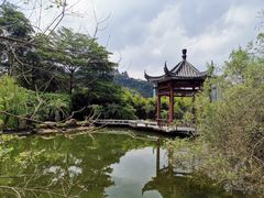 -广州神农草堂中医药博物馆