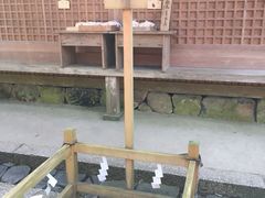 -奈良公园