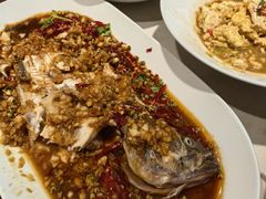-杨氏青龙虾·羊蝎子(金盛路总店)