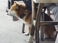 -鬼街