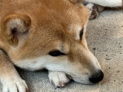 -三目仓咖啡(贤南路店)