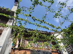-枫泾丁氏烧卖(枫丽路店)