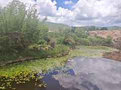 -世界恐龙谷景区