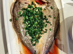 -醉辉皇原味海鲜江南菜(成都大魔方店)