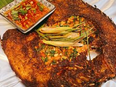 考罗非鱼-蜗牛小馆醉乡民谣云南菜(惠新西里店)