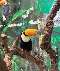 -Zoolung Zoolung动物主题公园(海信广场店)