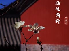 -妙应寺白塔