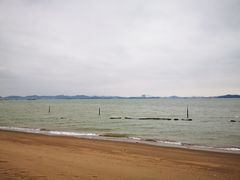 -滨海公园