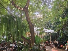 -Fern Forest Cafe