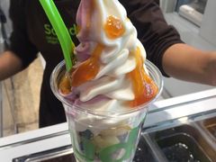 -Salud撒露欧洲冻酸奶(北苑上品店)