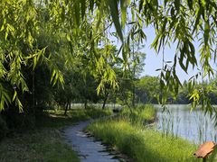 -泗洪洪泽湖湿地景区