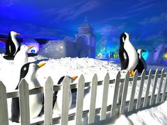-世界之窗阿尔卑斯冰雪世界