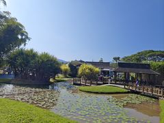 -中国科学院西双版纳热带植物园