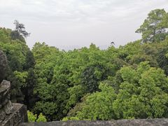 -南山植物园