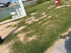 -盐城丹顶鹤湿地生态旅游区