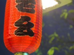 -老幺泉水鸡