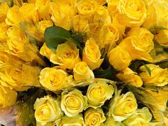 -循礼门鲜花花市(武汉循礼门店)