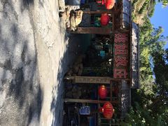 桃姐农庄-桃姐农庄老字号(从化温泉店)