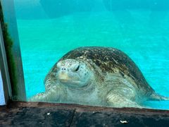 -珠海长隆海洋王国