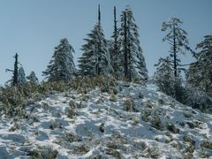 -瓦屋山景区