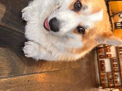 -肥朵食堂(带梦胡同店)