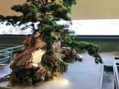 -潮上潮(南中环店)