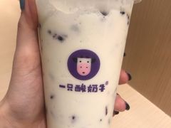 -一只酸奶牛(时代天街A馆店)