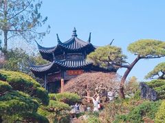 -杭州植物园