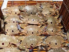 三眼蟹-加餐海鲜自助(集美银泰百货店)