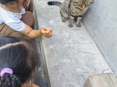 -正阳书局(西四南大街店)