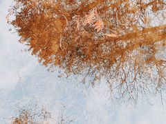 -重庆彩云湖湿地公园