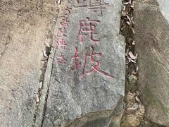 -白鹿洞书院