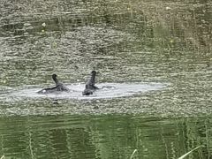 -漕湖湿地公园