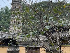 -台州府城(江南长城)