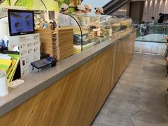 -油梨树AVOCADO TREE(望京店)