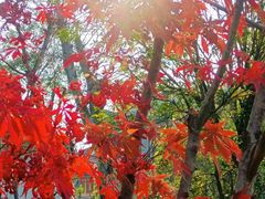 -南岳衡山风景名胜区-南岳大庙