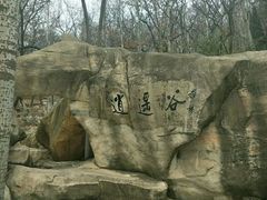 -石老人观光园