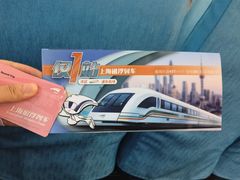 -龙阳路磁悬浮列车总站-停车场