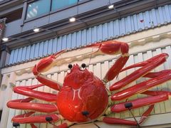 -蟹道乐(道顿堀本店)