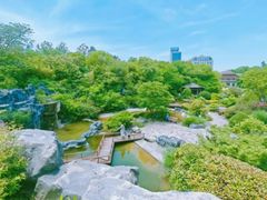 -上海吴淞炮台湾国家湿地公园