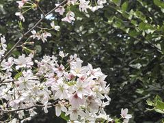 -堤角公园