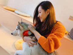 -Husky Go! 哈士奇体验馆·宠物咖啡厅狗咖