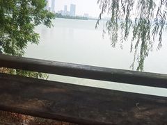 -艾溪湖湿地公园