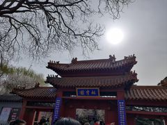 -桃花堤公园