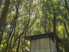 -中国茶叶博物馆(双峰馆区)