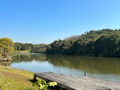 -福建鲤鱼洲酒店